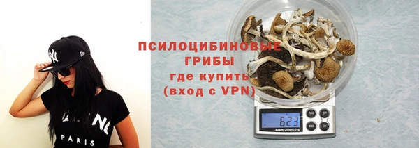 тгк Горно-Алтайск