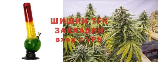 тгк Горно-Алтайск